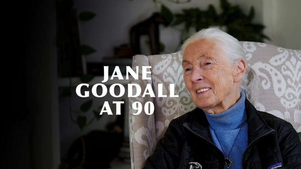jane goodall interview header